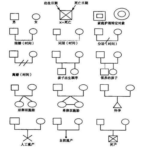 家庭關係圖畫法|附免費範本的免費家系圖製作工具